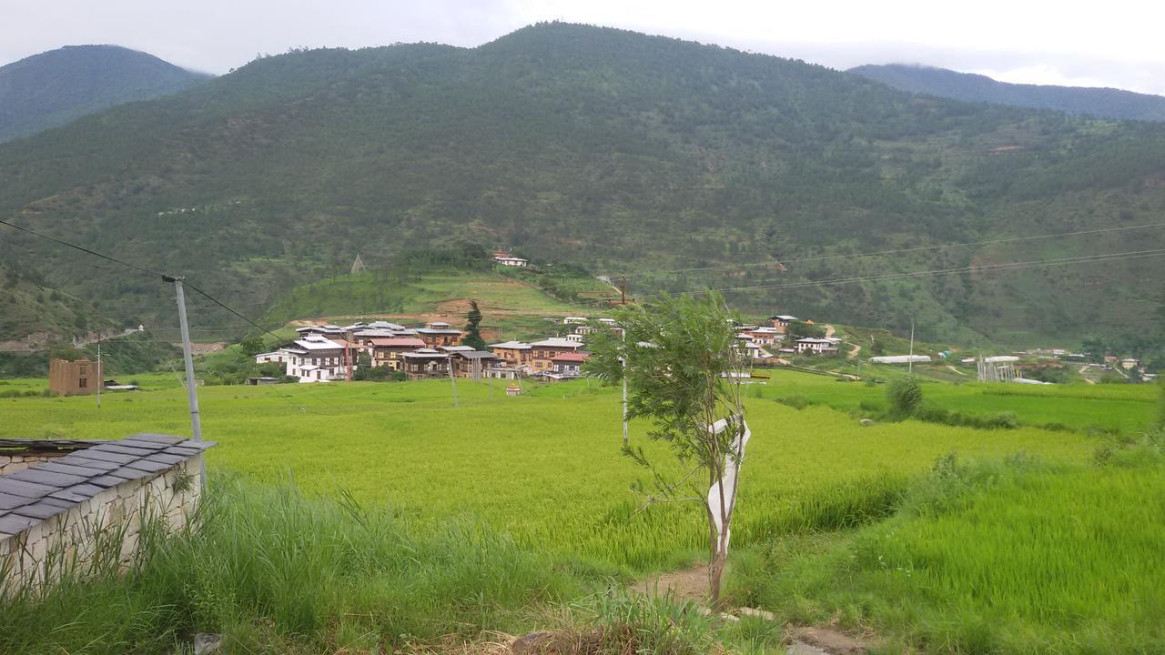 Chimi Lhakhang Village Homestay ปูนาคา ภายนอก รูปภาพ