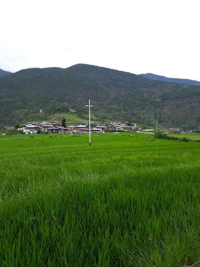 Chimi Lhakhang Village Homestay ปูนาคา ภายนอก รูปภาพ